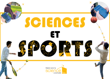Visuel sur lequel le titre de la formation "Sciences et sports" est décoré avec des dessins de sportifs en action, le tout avec des photos prises pendant la formation qui sont mises autour dans des bulles