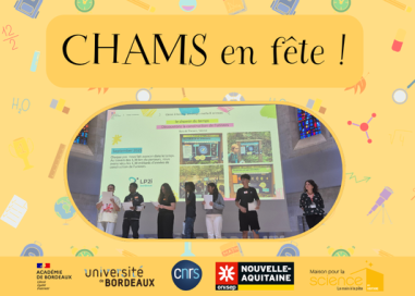 CHAMS