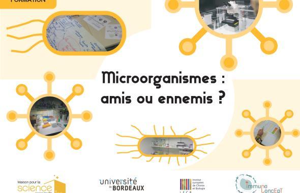 microorganismes